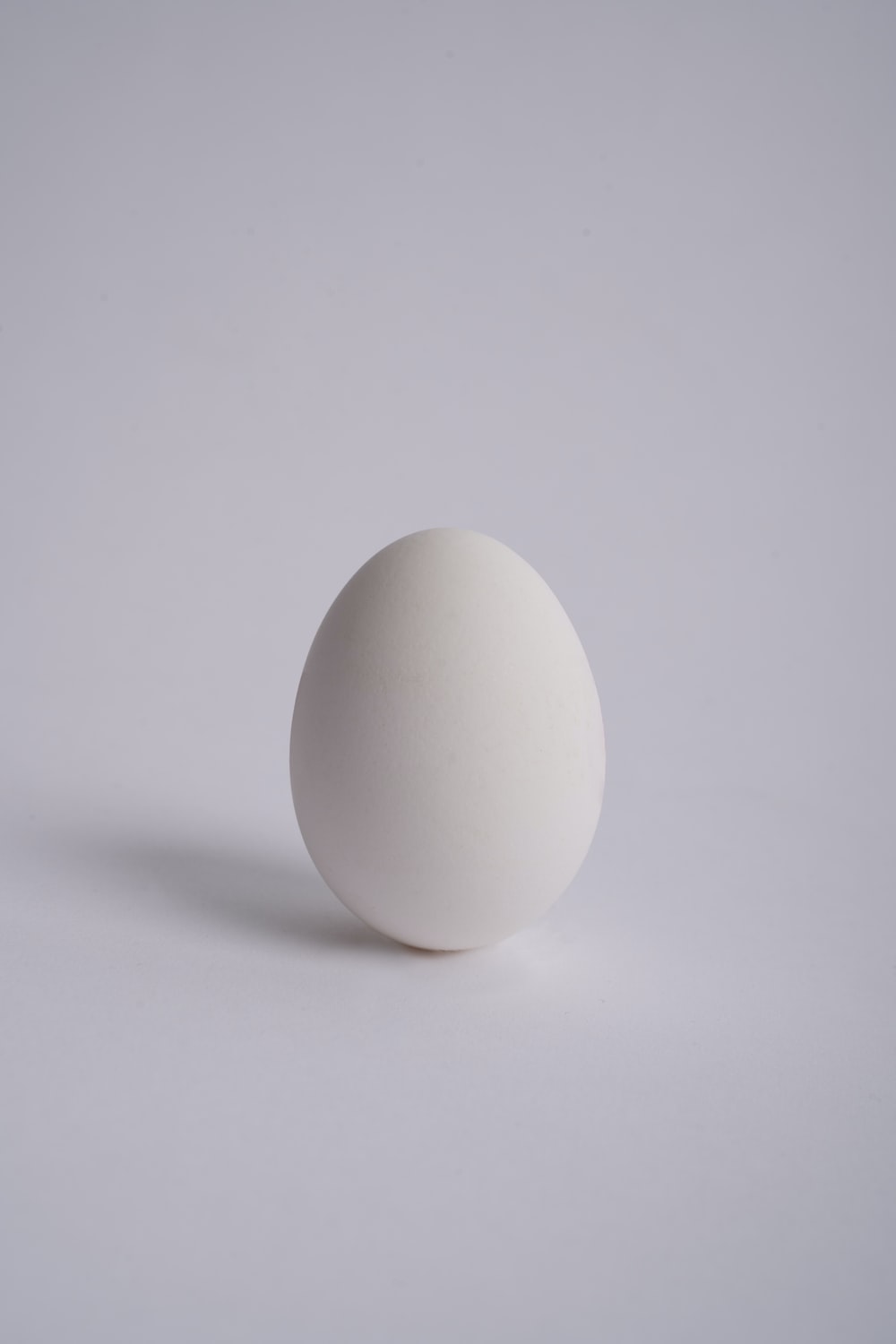 Detail Image Of Egg Nomer 28