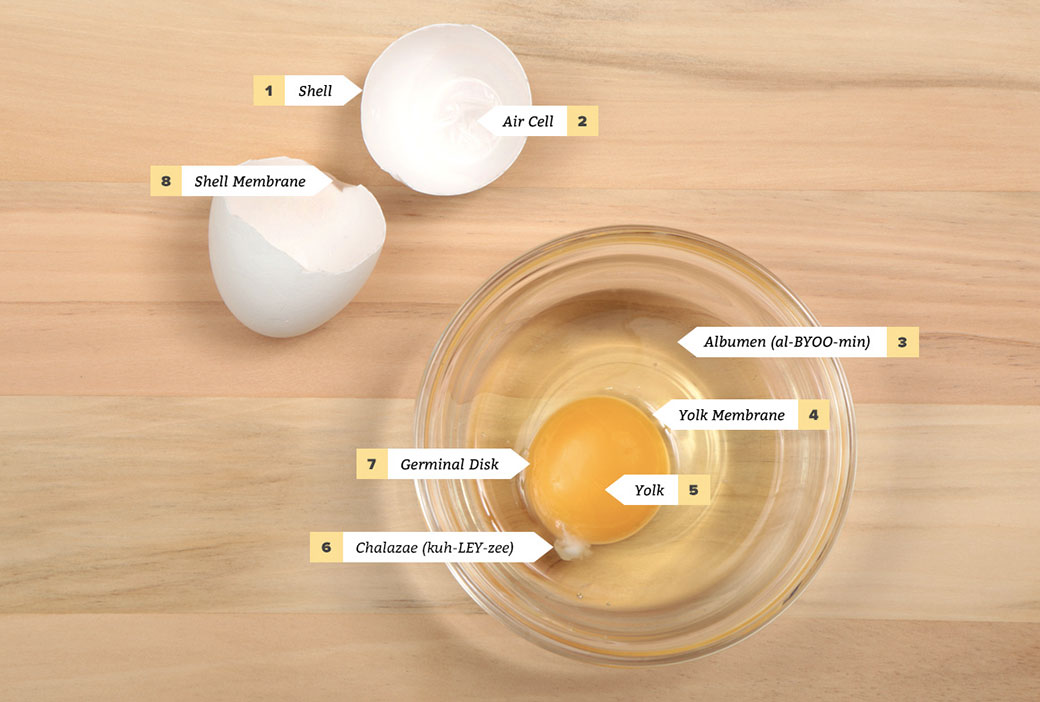 Detail Image Of Egg Nomer 38