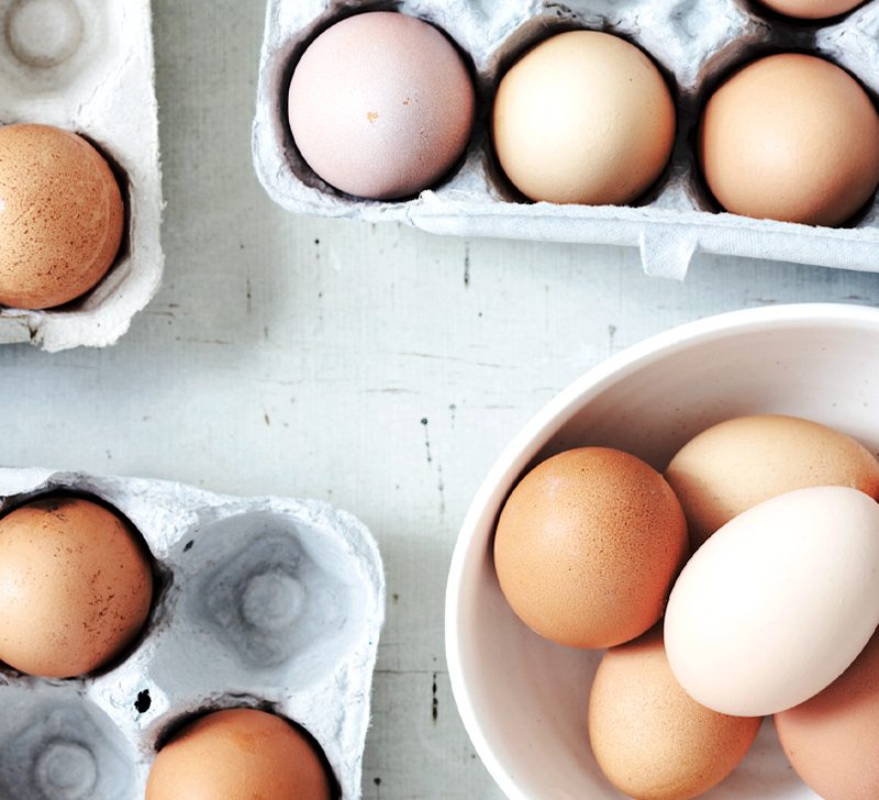 Detail Image Of Egg Nomer 45