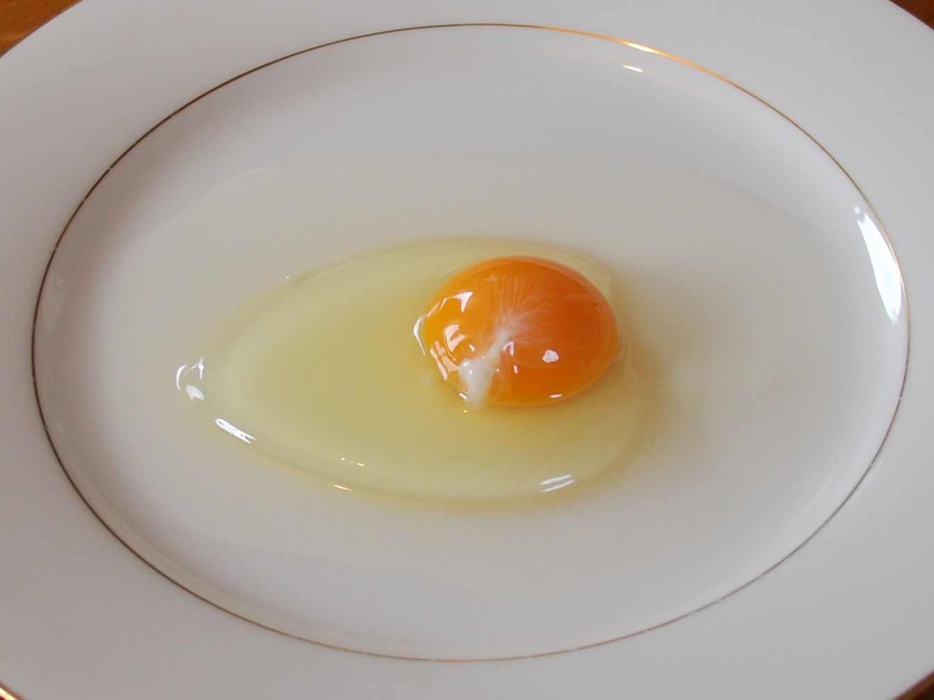 Detail Image Of Egg Nomer 49