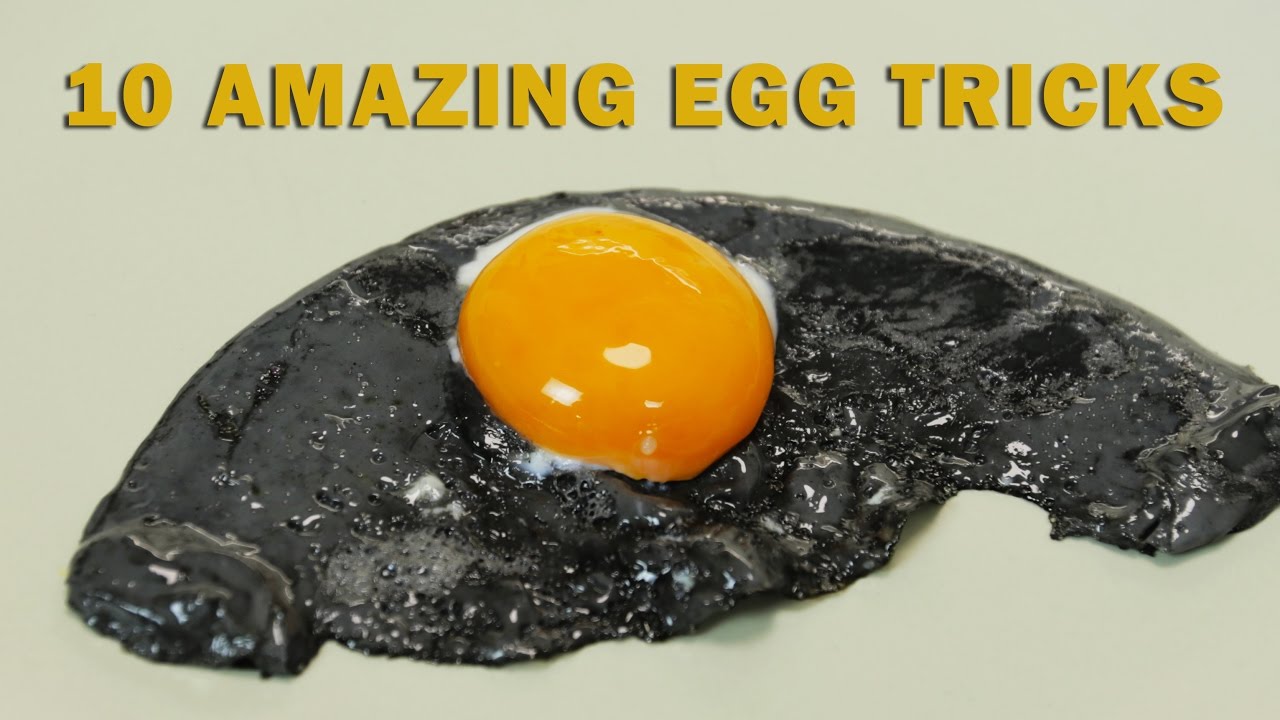 Detail Image Of Egg Nomer 50