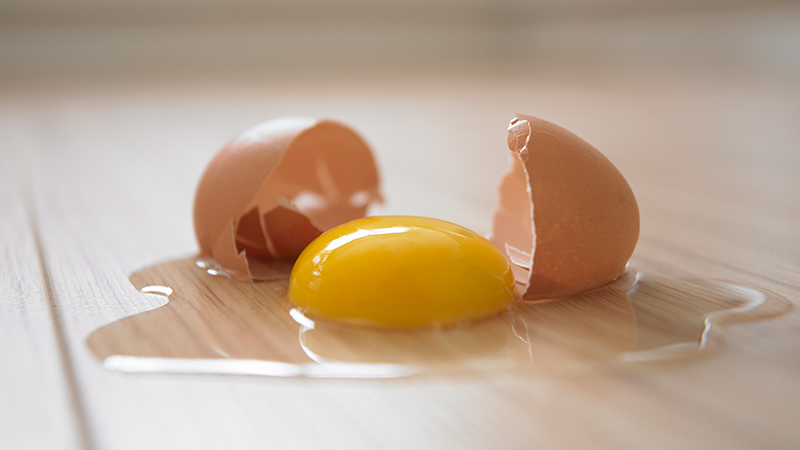 Detail Image Of Egg Nomer 51