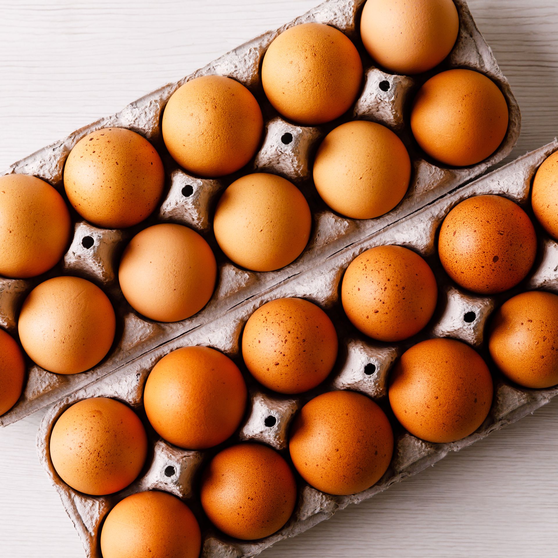 Detail Image Of Egg Nomer 9