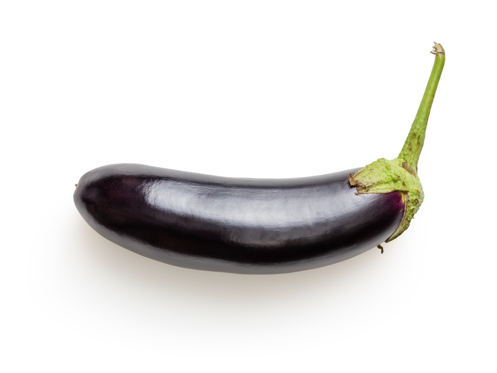 Detail Image Of Eggplant Nomer 19