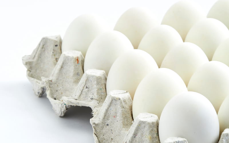Detail Image Of Eggs Nomer 34