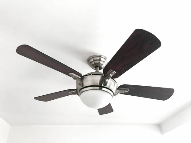Detail Image Of Fan Nomer 3