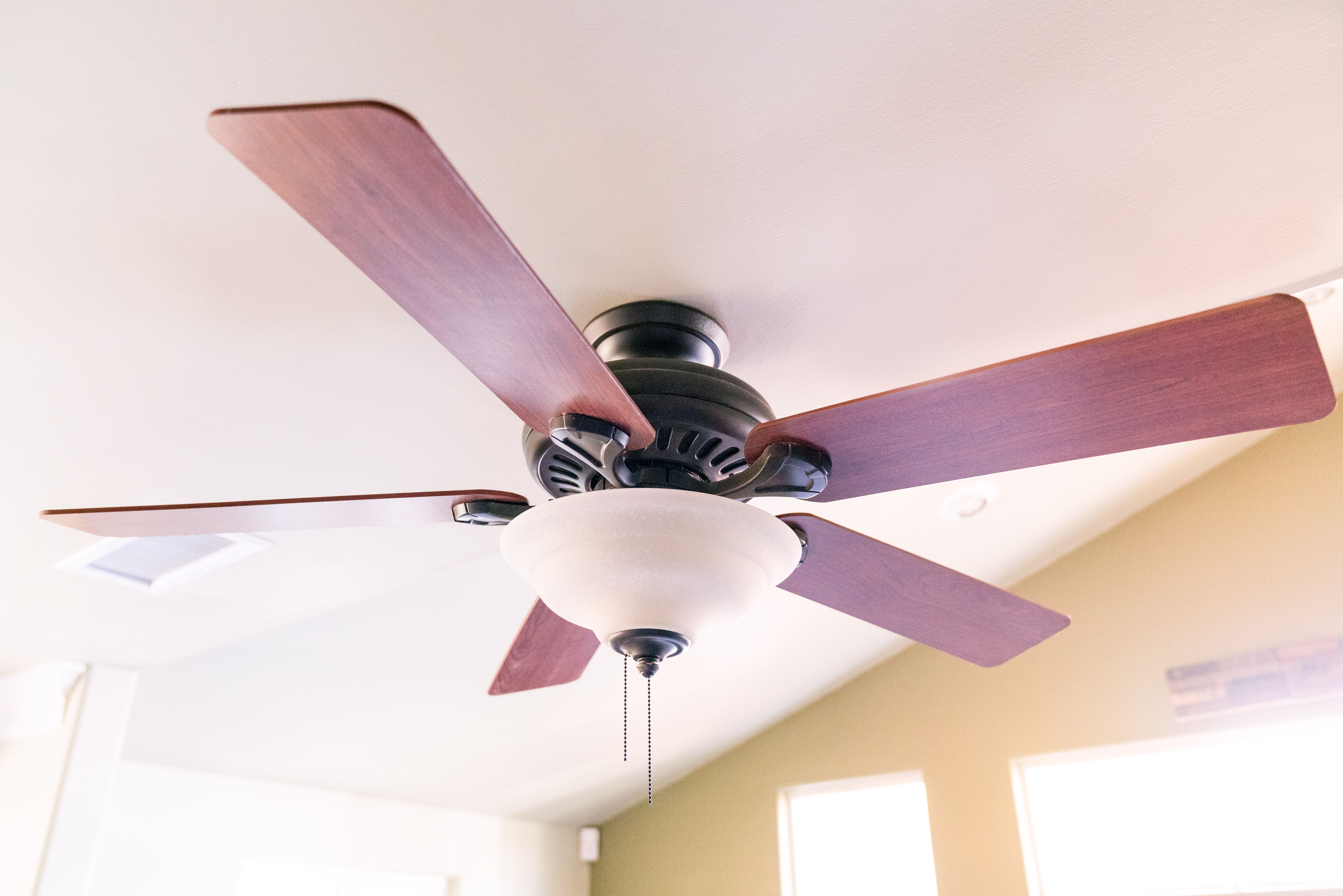 Detail Image Of Fan Nomer 5