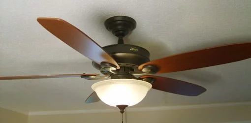 Detail Image Of Fan Nomer 45