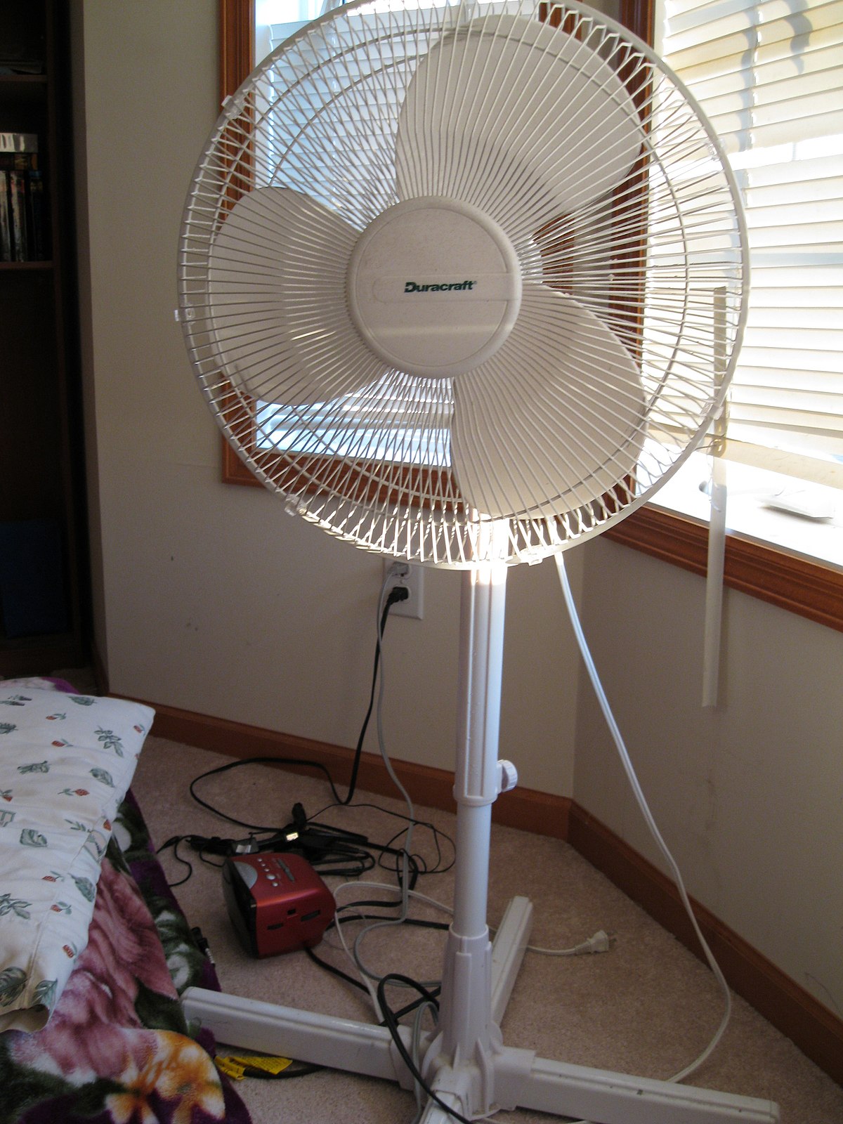 Detail Image Of Fan Nomer 6