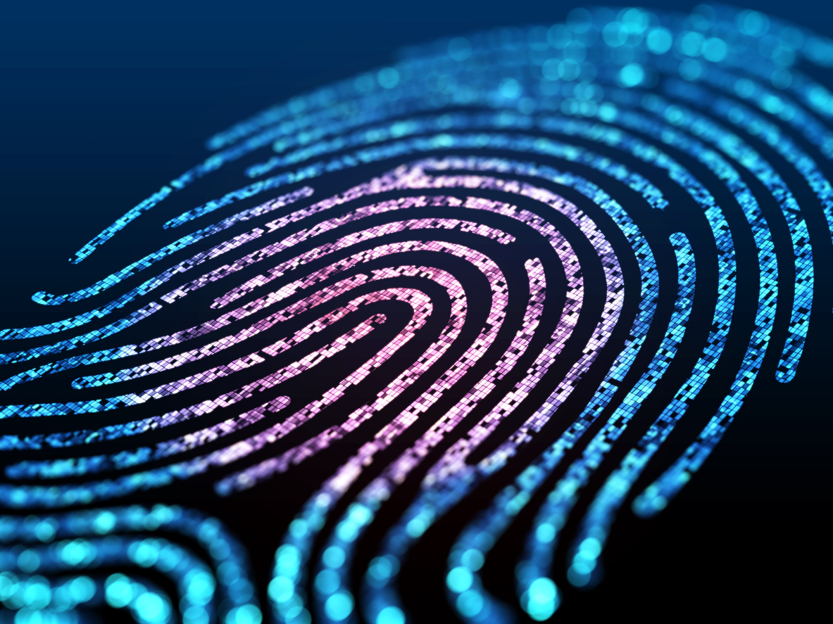 Detail Image Of Fingerprint Nomer 21