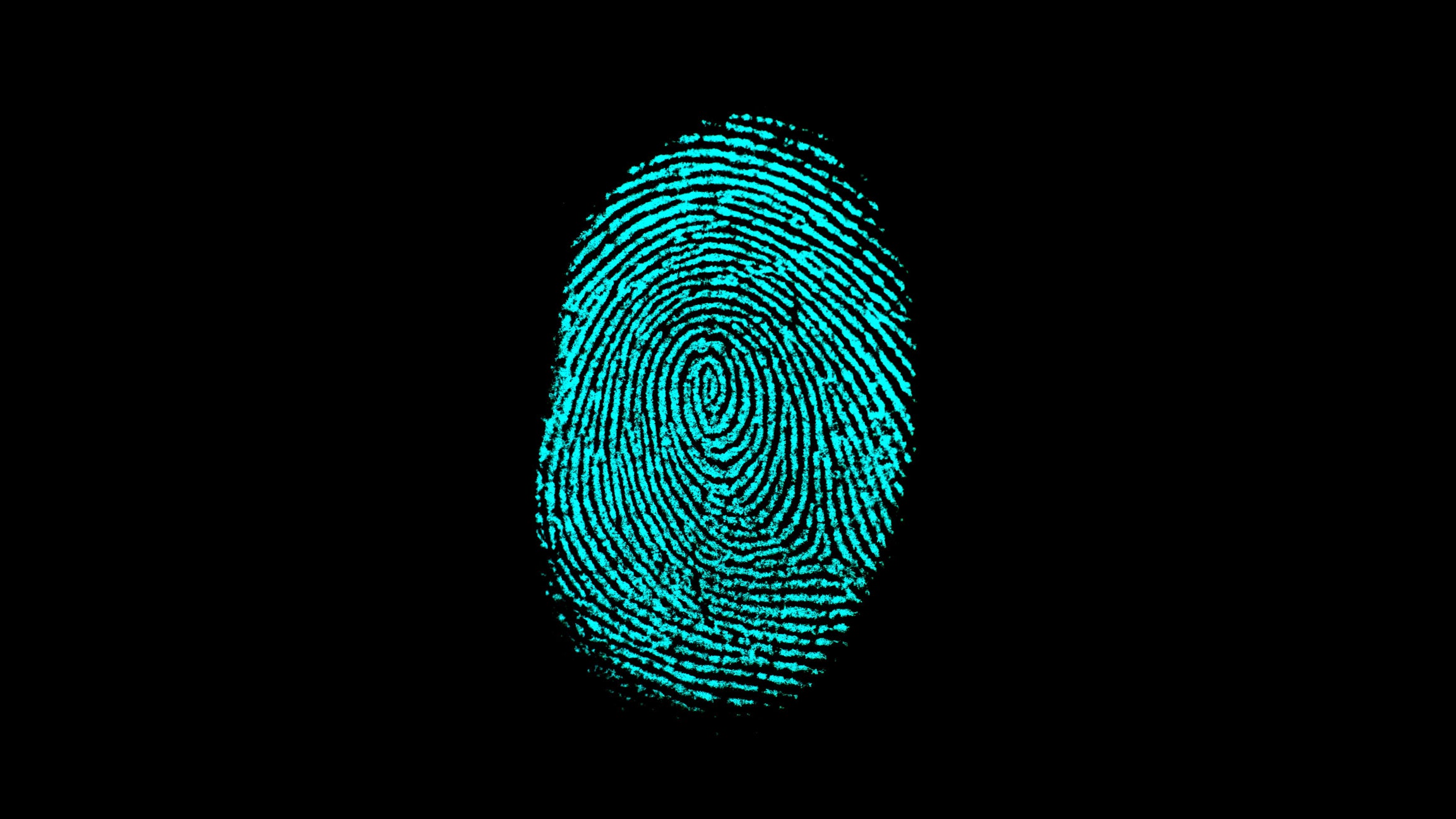 Detail Image Of Fingerprint Nomer 4