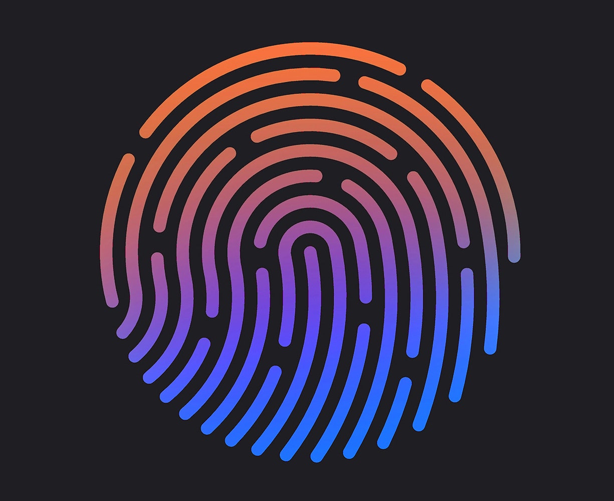 Detail Image Of Fingerprint Nomer 5