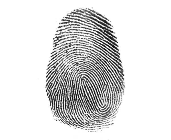 Detail Image Of Fingerprint Nomer 6