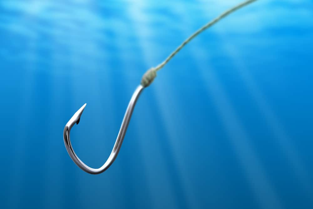 Detail Image Of Fish Hook Nomer 24