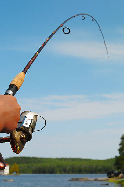 Detail Image Of Fishing Rod Nomer 48