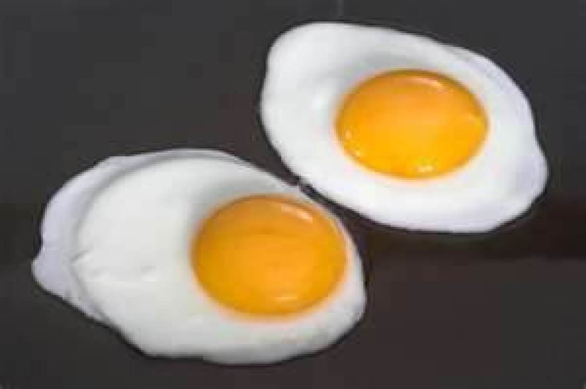 Detail Image Of Fried Egg Nomer 28