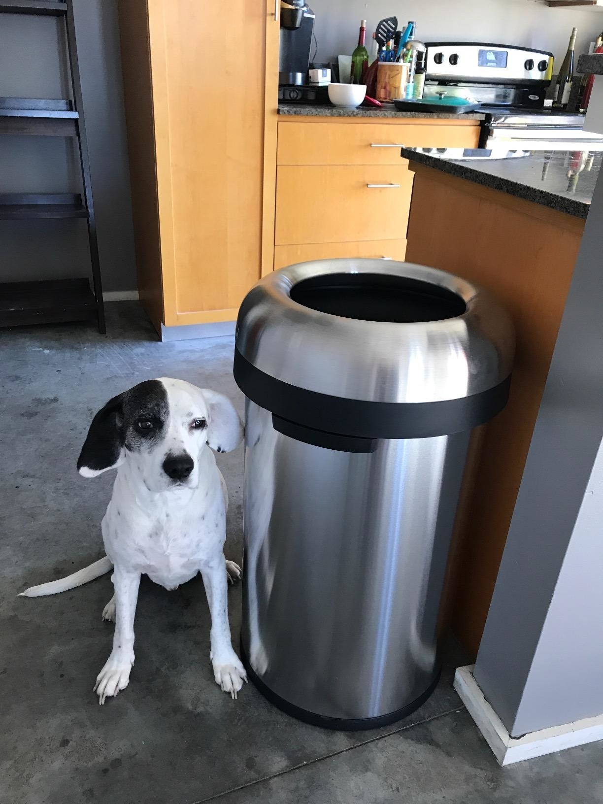 Detail Image Of Garbage Can Nomer 30