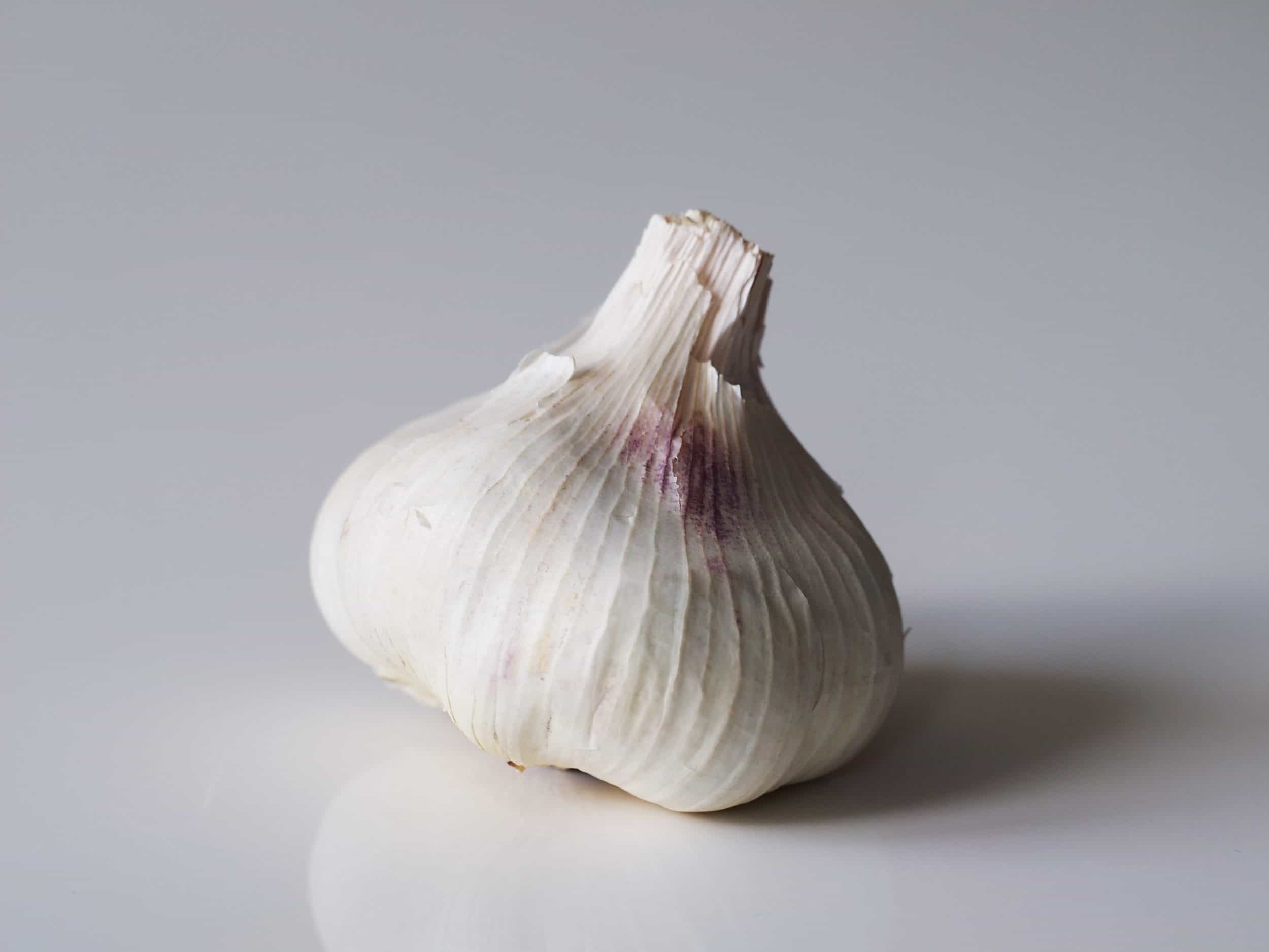 Detail Image Of Garlic Nomer 2