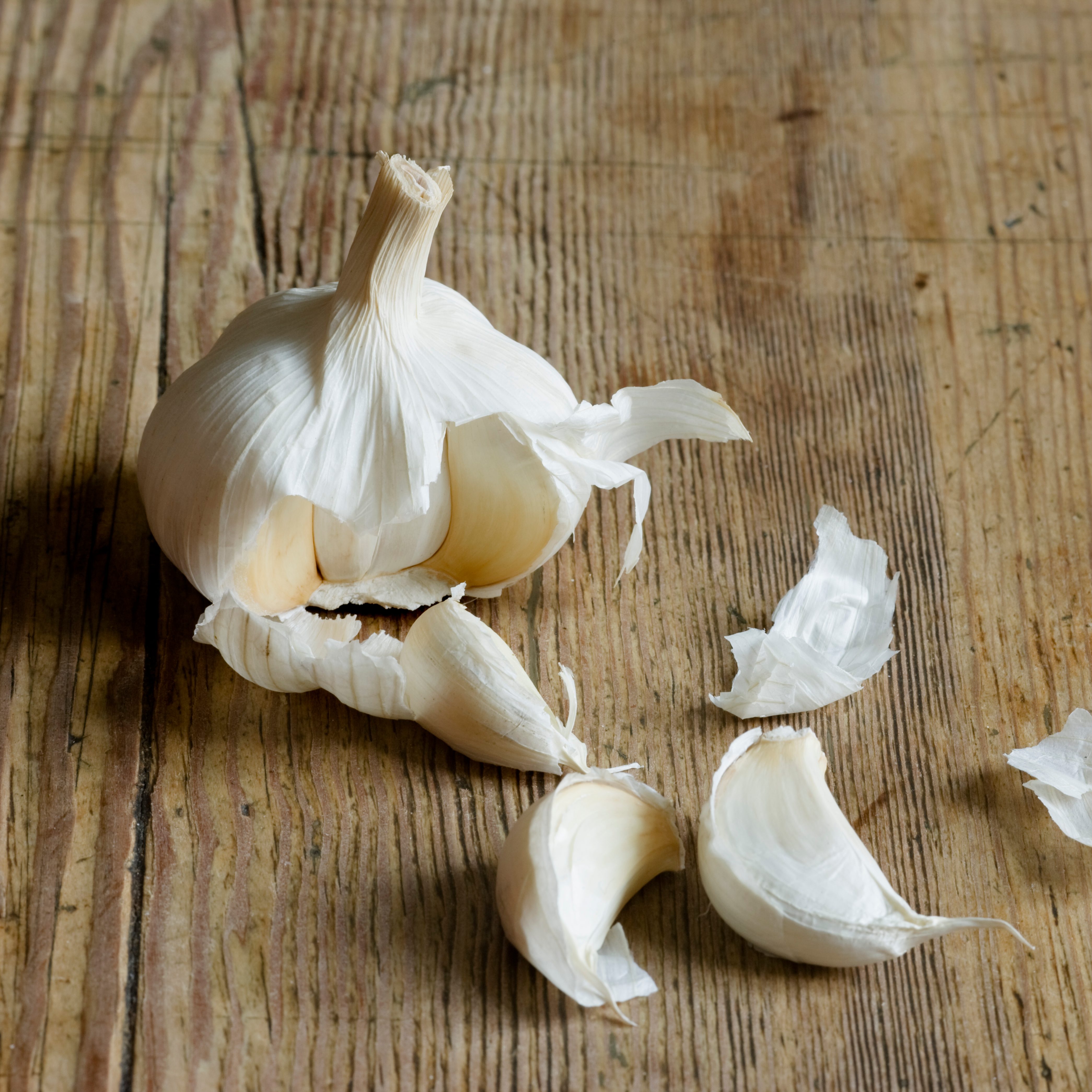 Detail Image Of Garlic Nomer 40