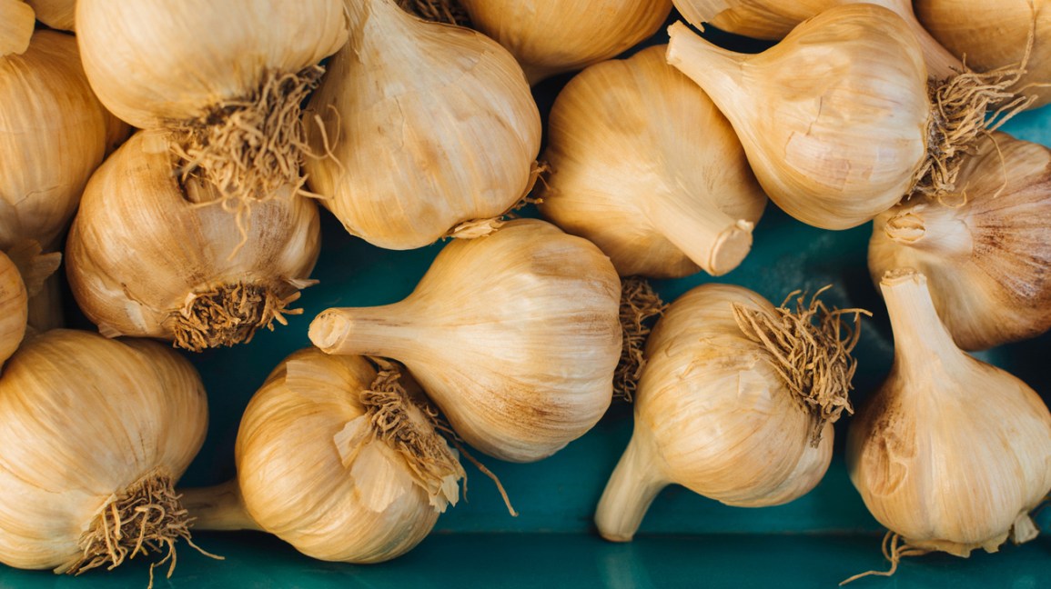 Detail Image Of Garlic Nomer 45