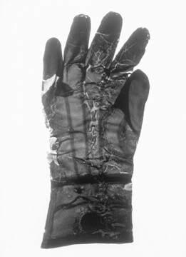Detail Image Of Gloves Nomer 13