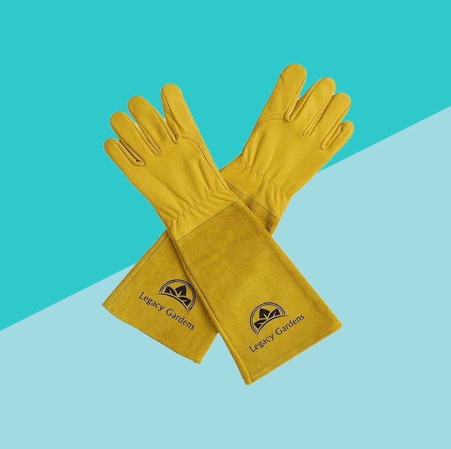Detail Image Of Gloves Nomer 49