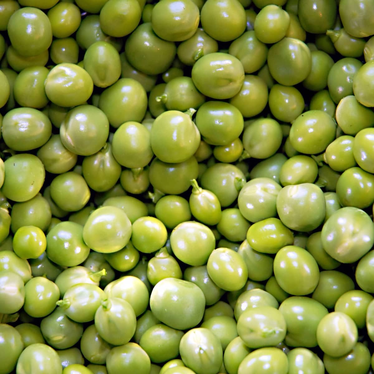 Detail Image Of Green Peas Nomer 22