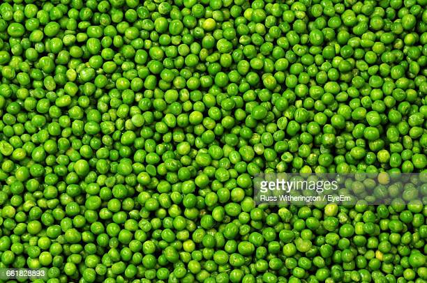 Detail Image Of Green Peas Nomer 58