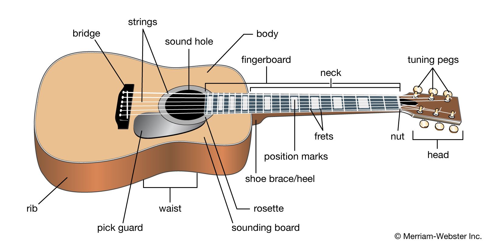 Detail Image Of Guitar Nomer 2