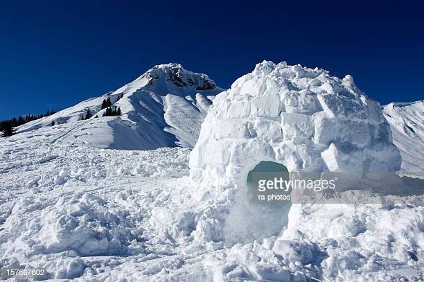 Detail Image Of Igloo Nomer 12