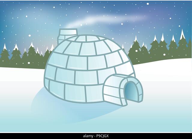 Detail Image Of Igloo Nomer 46