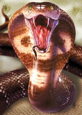 Detail Image Of King Cobra Snake Nomer 37