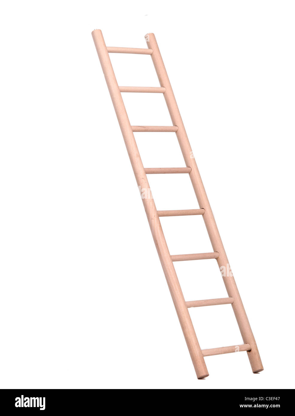 Detail Image Of Ladder Nomer 40