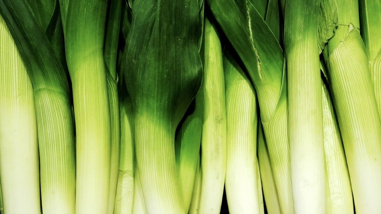 Detail Image Of Leeks Nomer 54