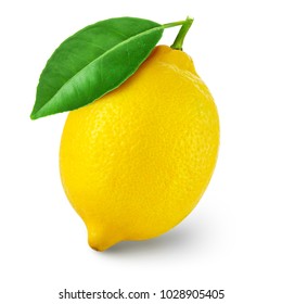 Detail Image Of Lemon Nomer 18