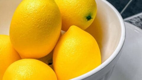 Detail Image Of Lemon Nomer 21