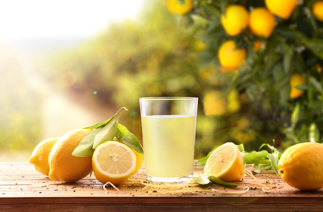 Detail Image Of Lemon Nomer 25