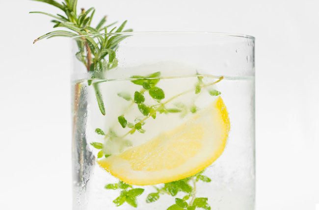 Detail Image Of Lemon Nomer 32
