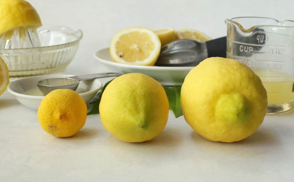 Detail Image Of Lemon Nomer 54