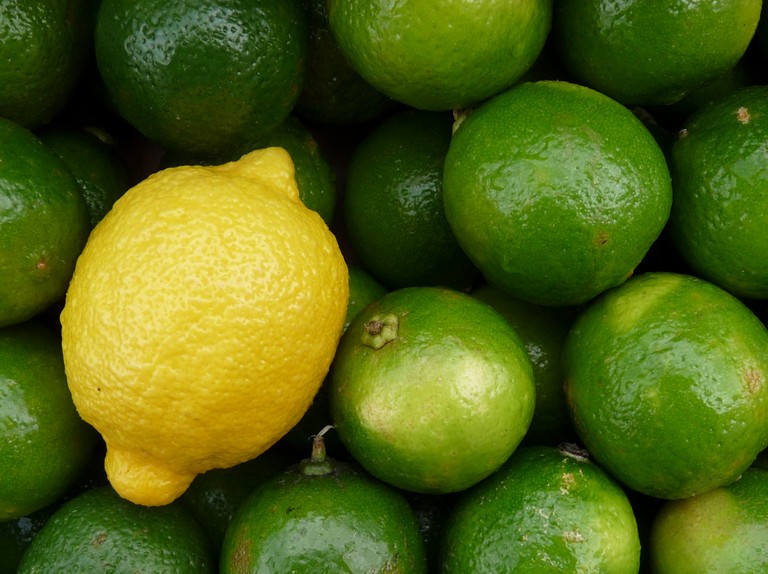 Detail Image Of Lemons Nomer 19