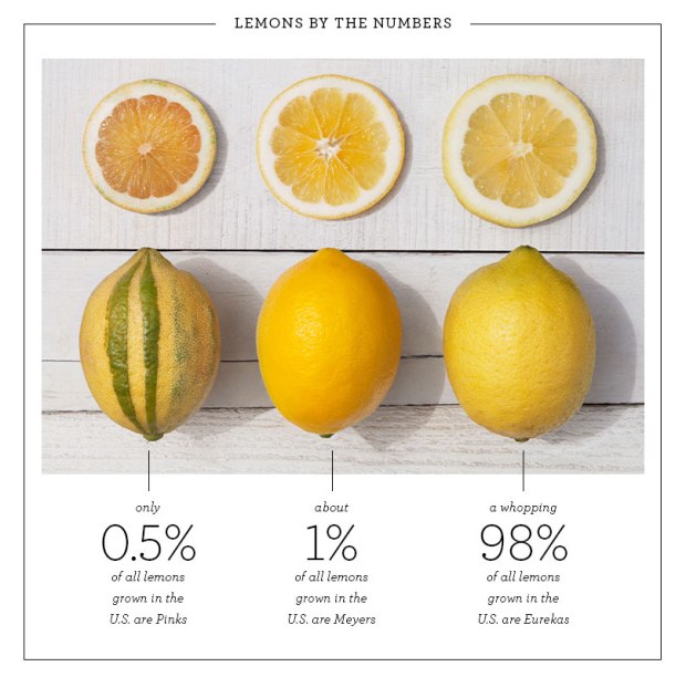 Detail Image Of Lemons Nomer 57