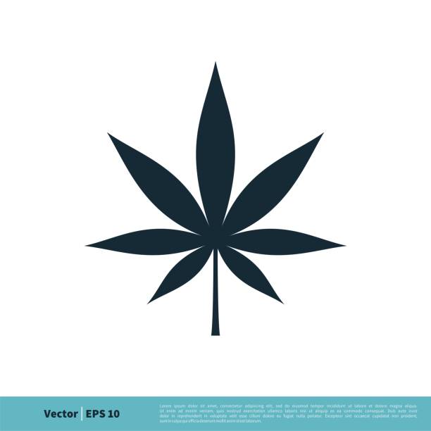 Detail Image Of Marijuana Leaf Nomer 16