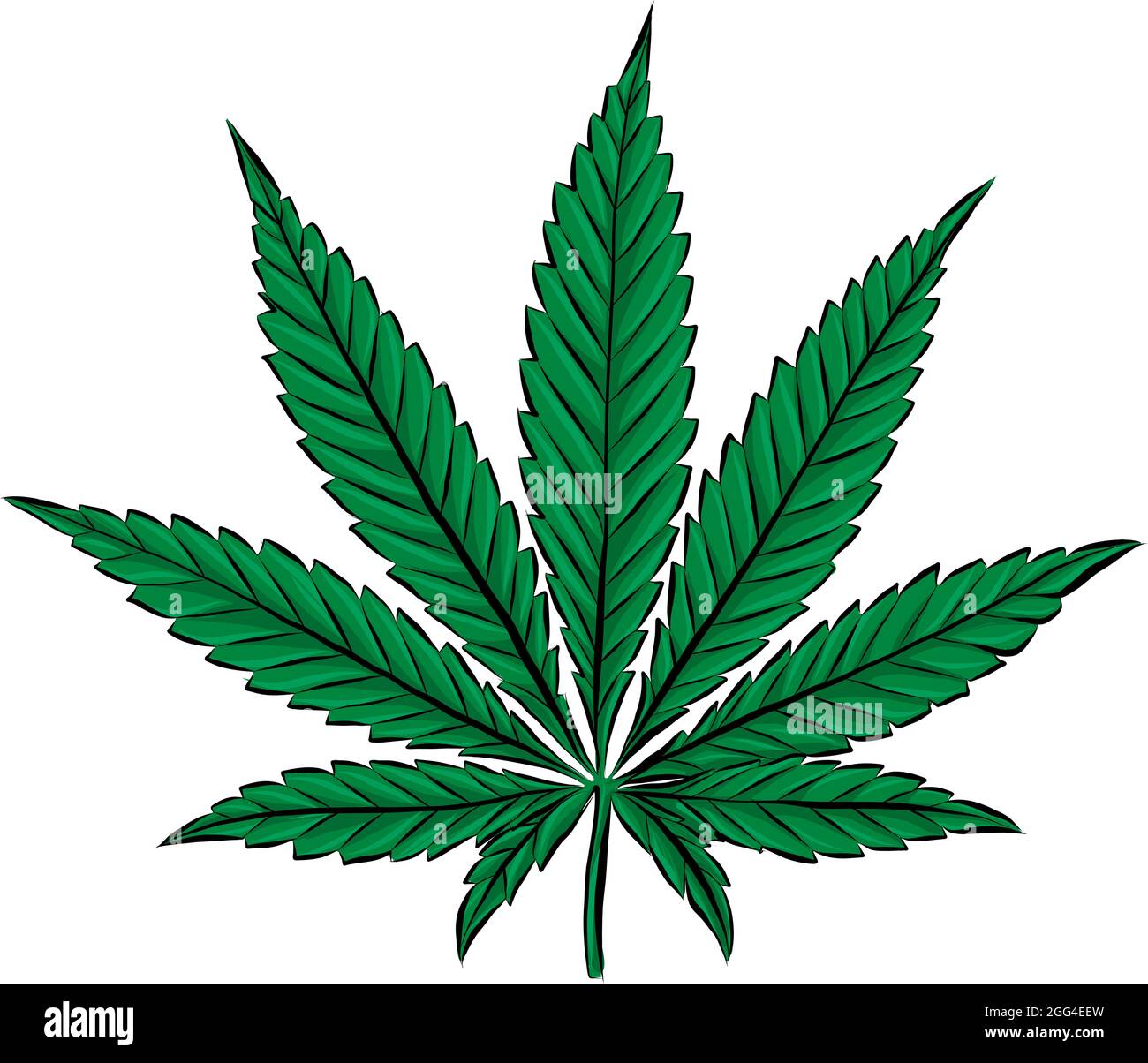 Detail Image Of Marijuana Leaf Nomer 18