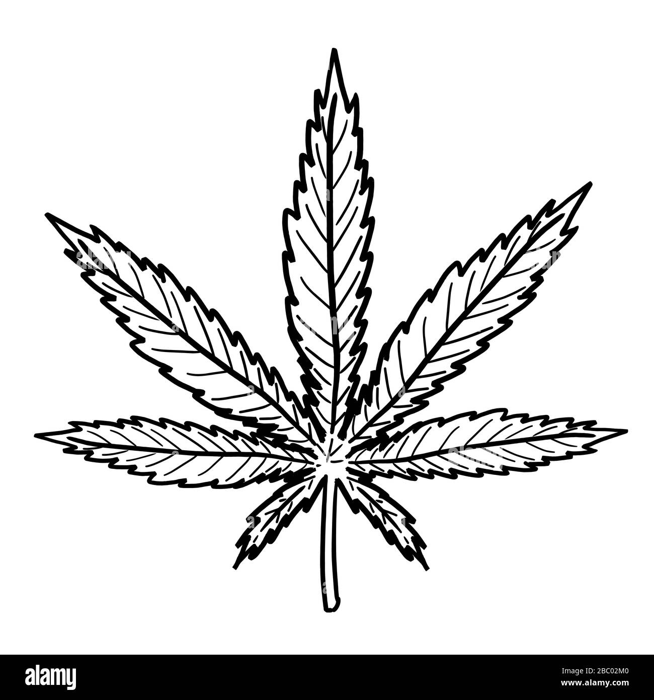 Detail Image Of Marijuana Leaf Nomer 44