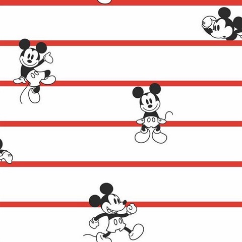 Detail Image Of Mickey Mouse Nomer 48