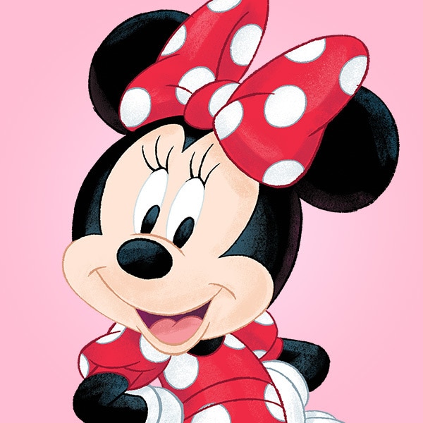 Detail Image Of Mickey Mouse Nomer 10