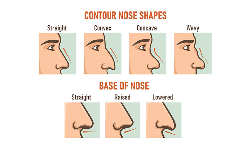 Detail Image Of Nose Nomer 29