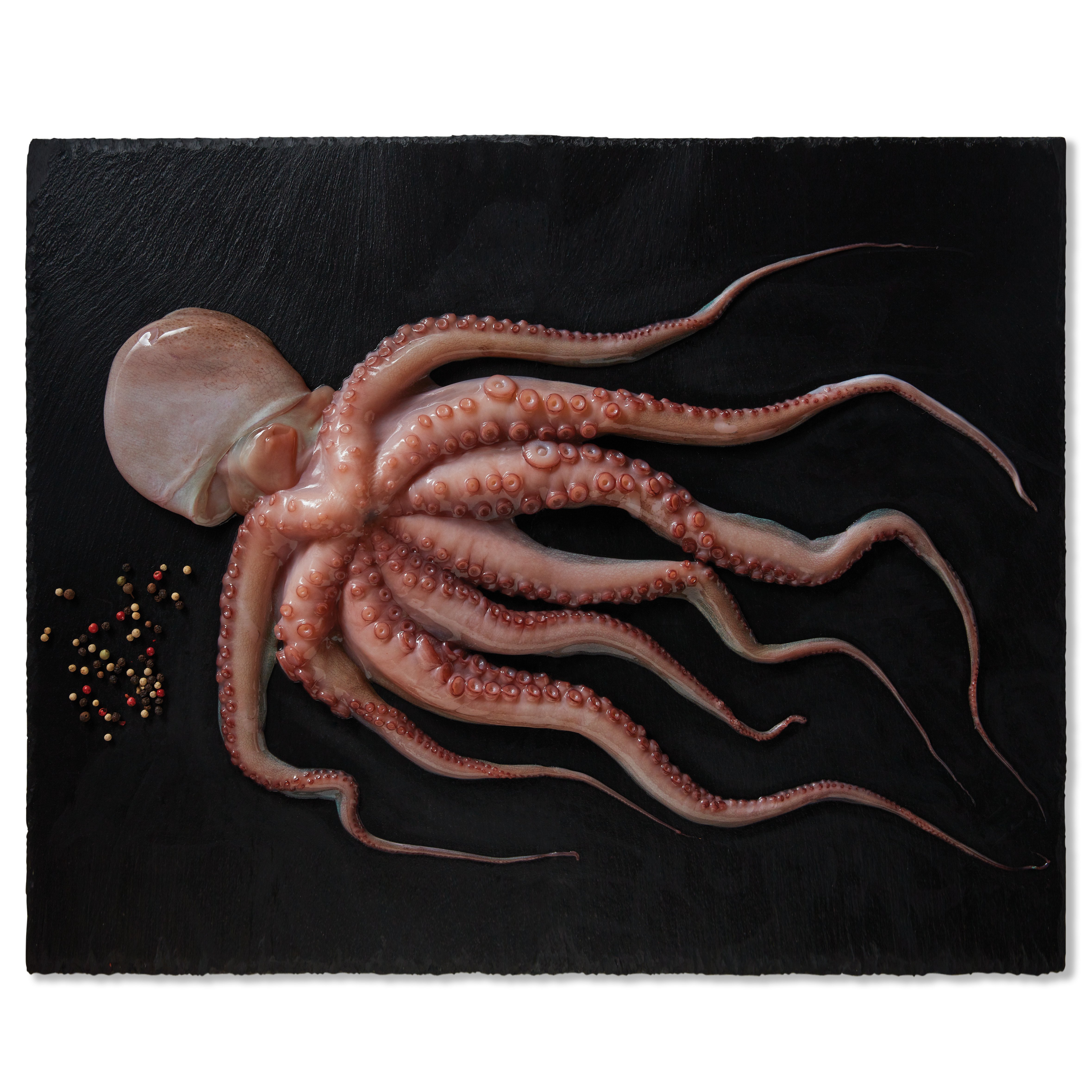 Detail Image Of Octopus Nomer 4