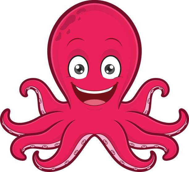 Detail Image Of Octopus Nomer 48