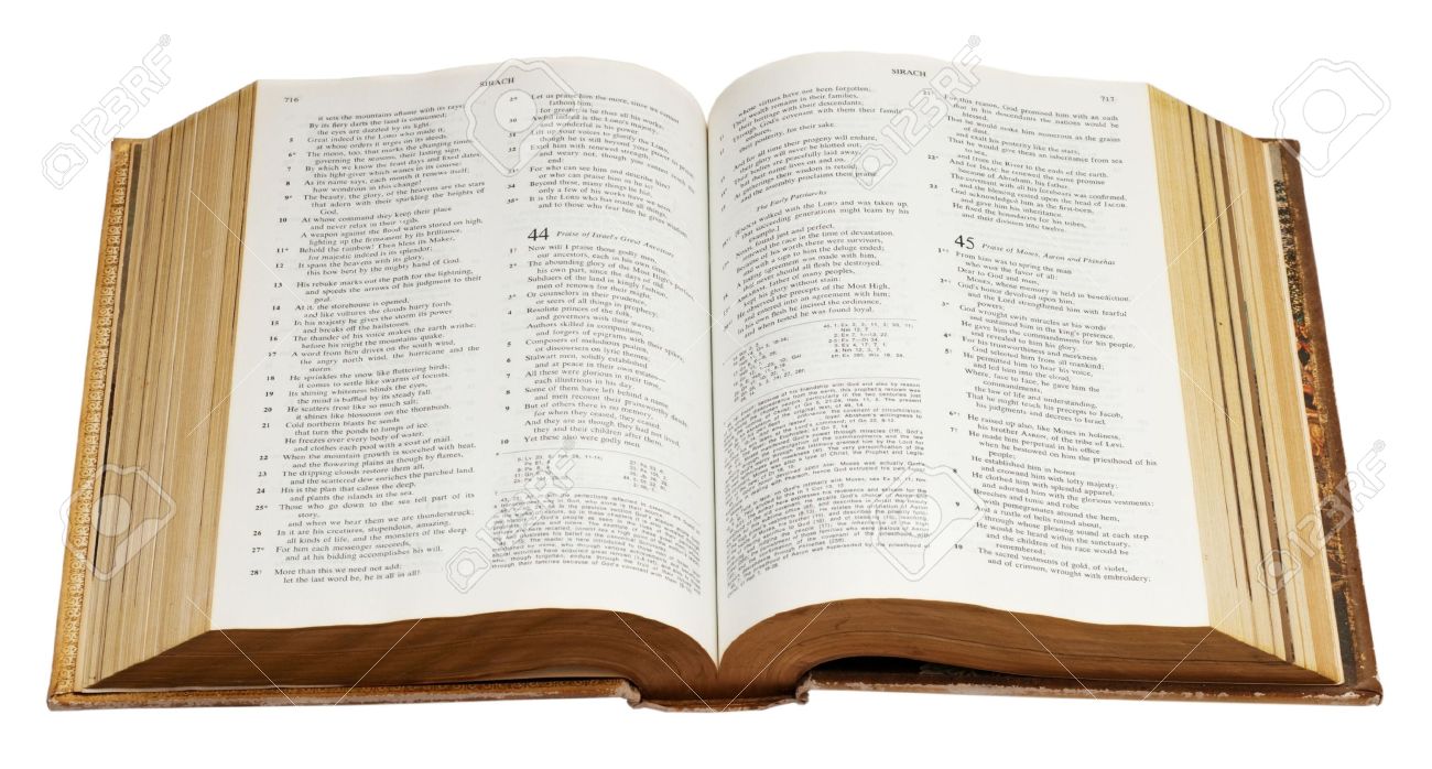 Detail Image Of Open Bible Nomer 8